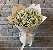Букет цветов из:  Ромашки в Меленках