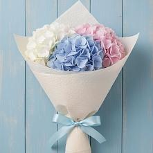 Букет цветов из:  Гортензия в Меленках