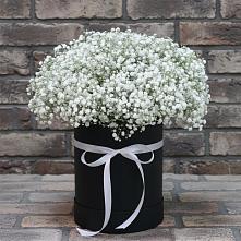 Цветочная композиция из Гипсофила в шляпной коробке в Меленках