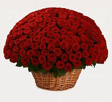 Премиум букет из: Розы в Меленках