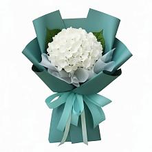 Букет цветов из:  Гортензия в Меленках